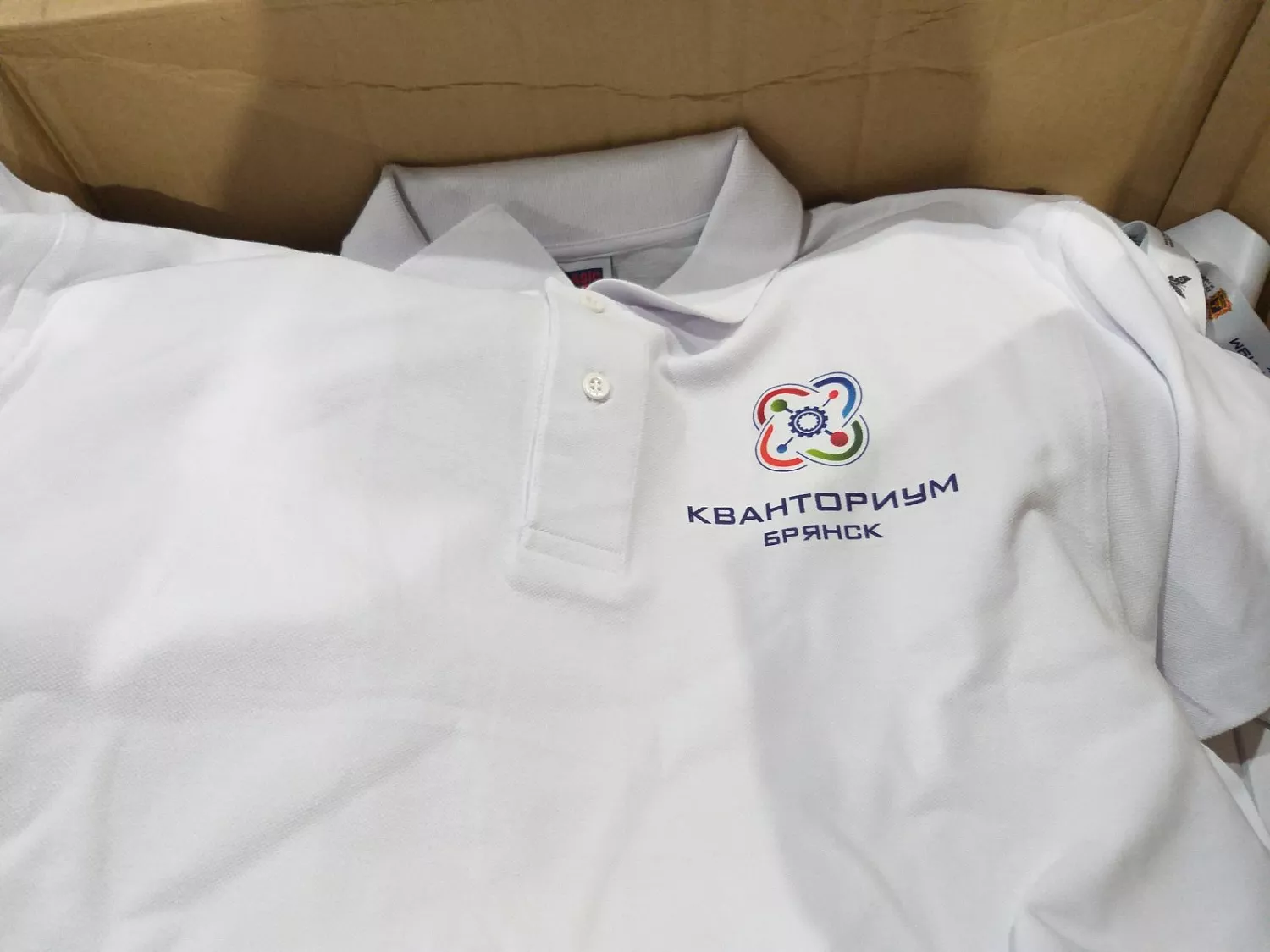 Полиграфия
